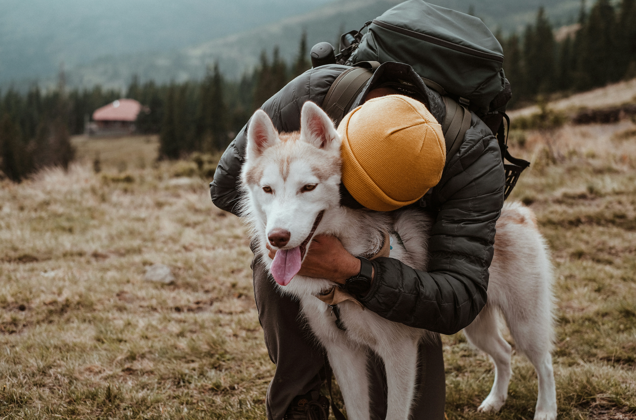 AirBolt GPS Pet Tracker perfect for hiking 
