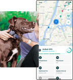 AirBolt® GPS Gen 2 - Real-Time GPS Tracker with Up To 12-Month Battery Life